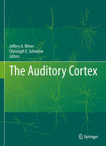 The Auditory Cortex