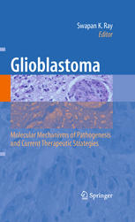 Glioblastoma: Molecular Mechanisms of Pathogenesis and Current Therapeutic Strategies