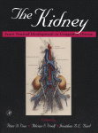 The Kidney. From Normal Development to Congenital Disease