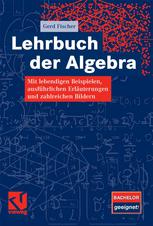 Lehrbuch der Algebra: Mit lebendigen Beispielen, ausführlichen Erläuterungen und zahlreichen Bildern