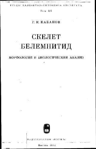 Скелет белемнитид
