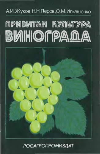 Привитая культура винограда