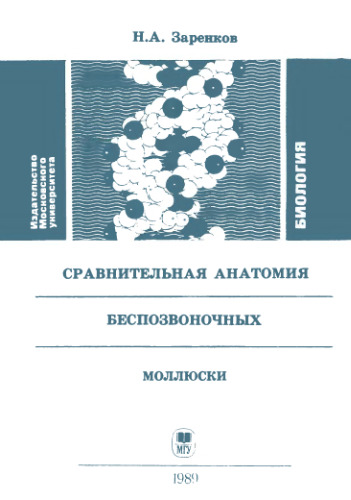 Сравнительная анатомия безпозвоночных. Моллюски