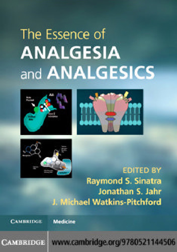 The Essence of Analgesia and Analgesics