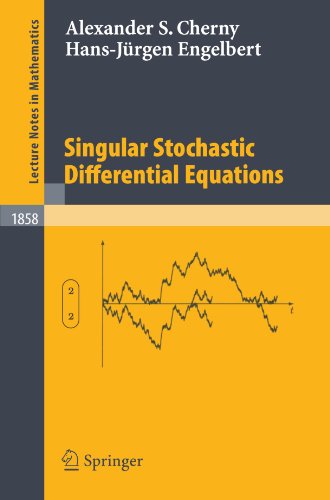 Singular Stochastic Differential Equations