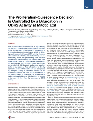 The Proliferation-Quiescence Decision Is Controlled by a Bifurcation in CDK2 Activity at Mitotic Exit