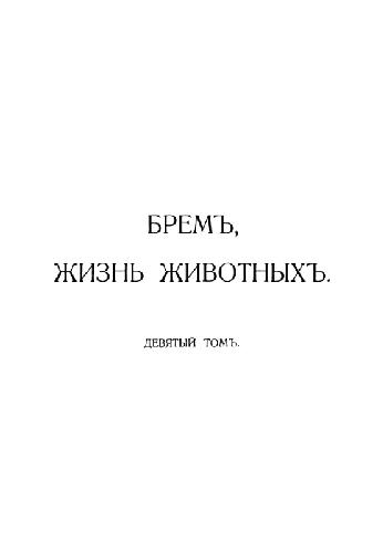 Птицы Альфреда Брема