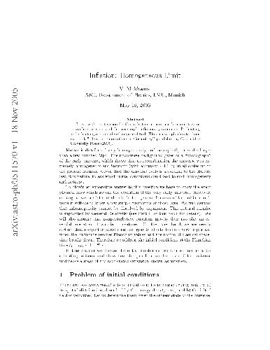 Inflation Homogeneous Limit
