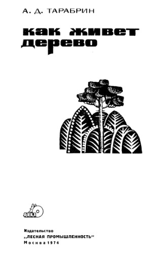 Как живет дерево