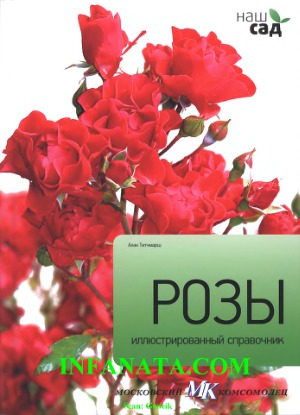 Розы