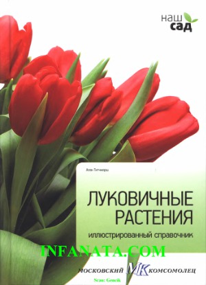 Луковичные растения