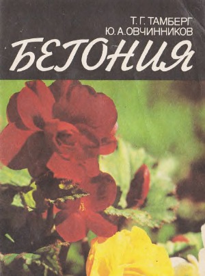 Бегония