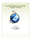 Acanthocephalan worms. Global Status