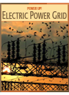 Electric Power Grid