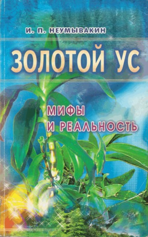 Золотой ус мифы и реальность