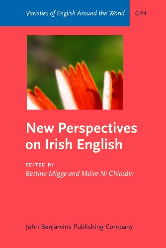 New Perspectives on Irish English