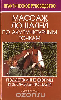 Массаж лошадей по акупунктурным точкам