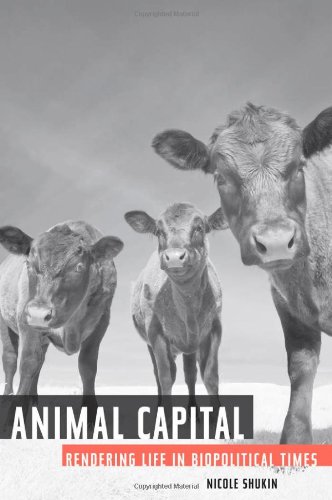 Animal capital : rendering life in biopolitical times