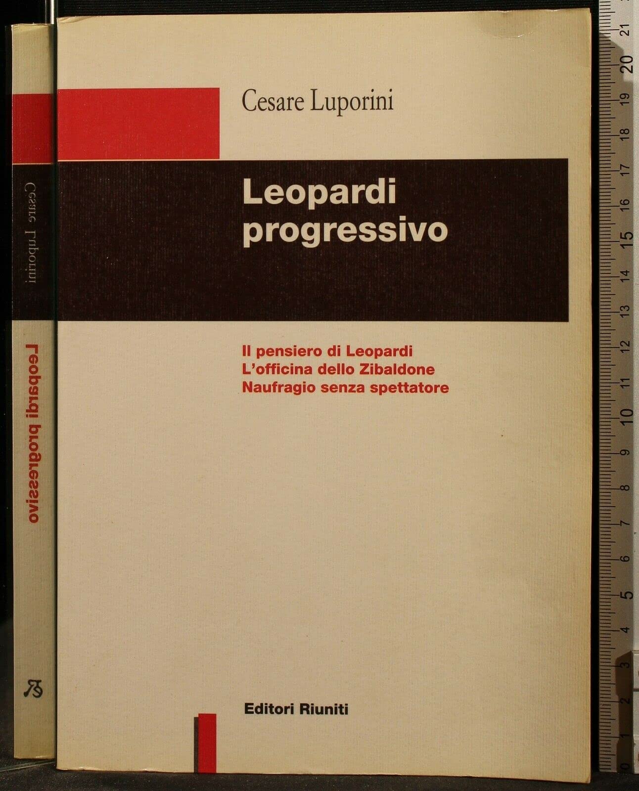 Leopardi progressivo. Il pensiero di Leopardi. L'officina dello Zibaldone. Naufragio senza spettatore