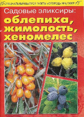 Садовые эликсиры: облепиха, жимолость, хеномелес