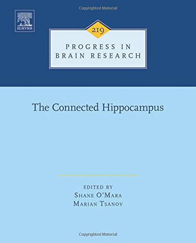 The connected hippocampus