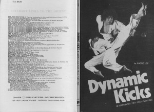 Dynamic Kicks Essentials for Free Fighting