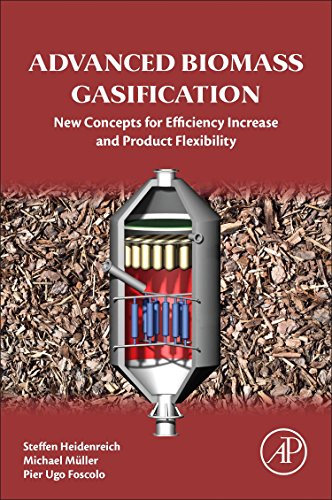 Advanced Biomass Gasification. New Concepts for Efficiency Increase and Product Flexibility