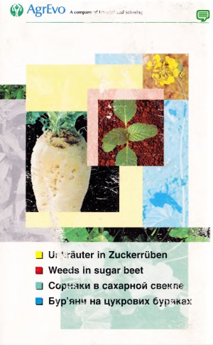 Unkräuter in Zuckerrüben