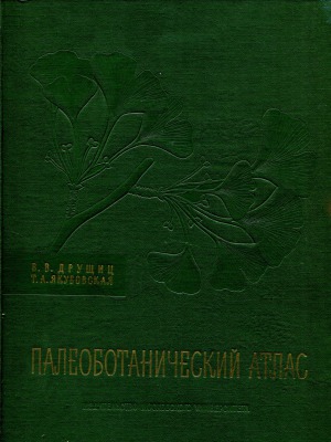 Палеоботанический атлас