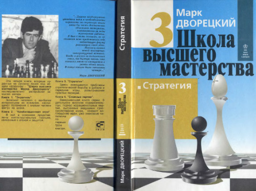 Школа высшего мастерства. Стратегия