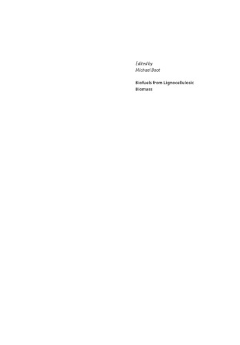 Biofuels from lignocellulosic biomass: innovations beyond bioethanol