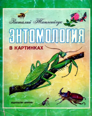 Энтомология в картинках