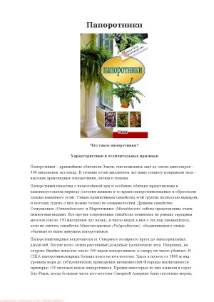 Папоротники