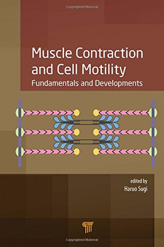 Muscle Contraction and Cell Motility: Fundamentals and Developments