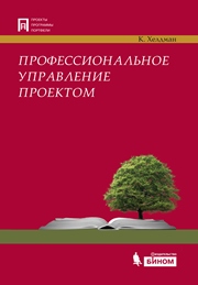 Профессиональное управление проектом