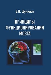 Принципы функционирования мозга