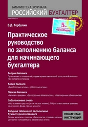 Практическое руководство по заполнению баланса для начинающего бухгалтера
