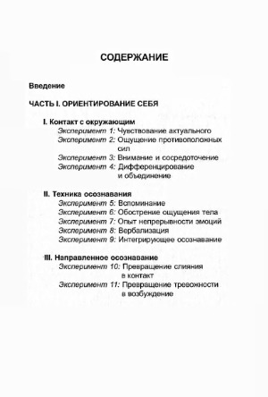 Практикум по гештальт-терапии