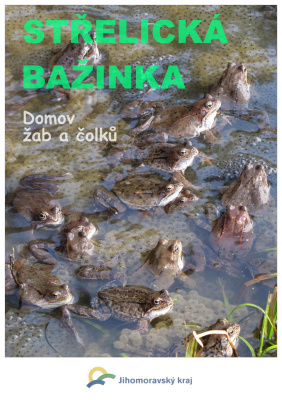 Střelická bažinka - domov žab i čolků