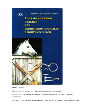 Езда на кончиках пальцев или управление лошадью в контакте с ней