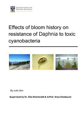 Эффекты сопротивления дафний токсичным цианобактериям. Effects of bloom history on resistance of Daphnia to toxic cyanobacteria