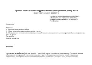 Процесс логопедической коррекции общего недоразвития речи у детей подготовительного возраста