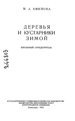 Деревья и кустарники зимой. Школьный определитель