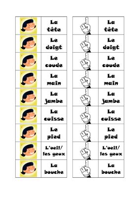 Les parties du corps humain. Le jeu de domino