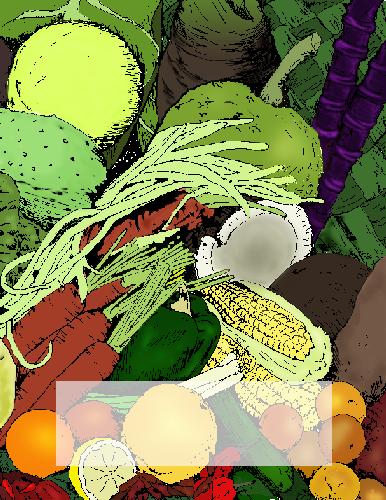 The Pacific Islands Cookbook