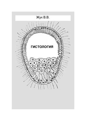 Гистология