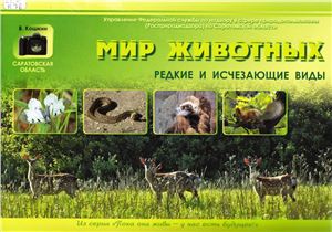 Мир животных. Редкие и исчезающие виды