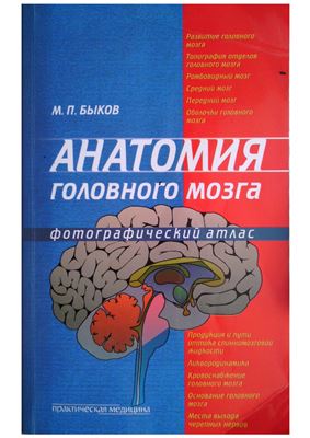 Анатомия головного мозга. Фотографический атлас