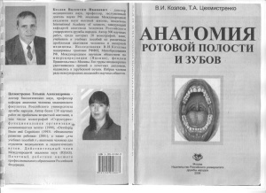 Анатомия ротовой полости и зубов
