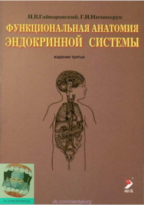 Функциональная анатомия эндокринной системы